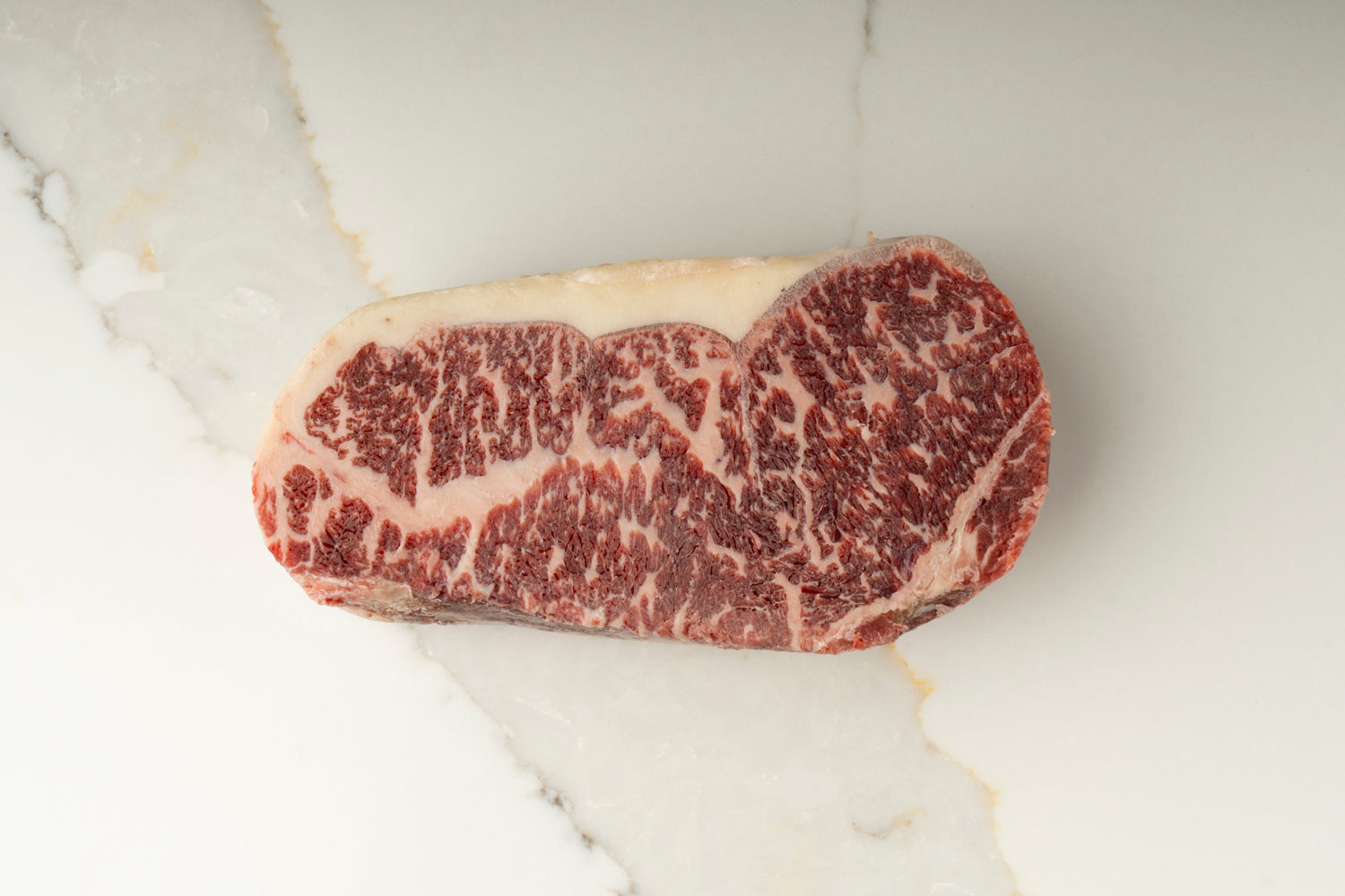 New York Wagyu Cross