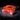 Chuck Flap Costilla Sin Hueso Linz Heritage Angus — corte crudo | MEAT MX