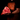 Porterhouse Linz Heritage Angus — corte crudo | MEAT MX